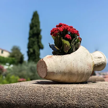 Il Viaggio לינה וארוחת בוקר דיאנו מרינה