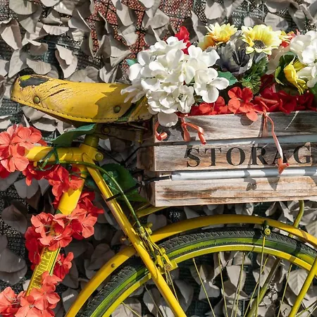 Il Viaggio Frühstückspension